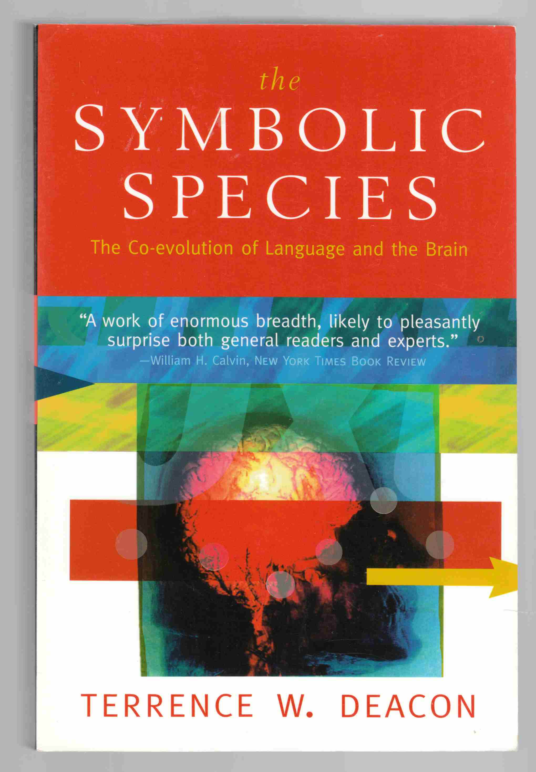 Image for The Symbolic Species The Co-Evolution of Language and the Brain