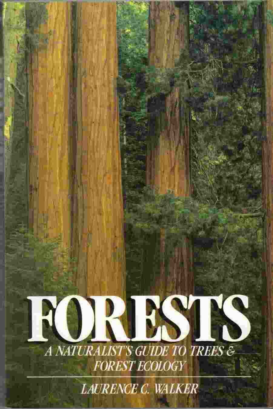 Image for Forests A Naturalist's Guide to Trees and Forest Ecology