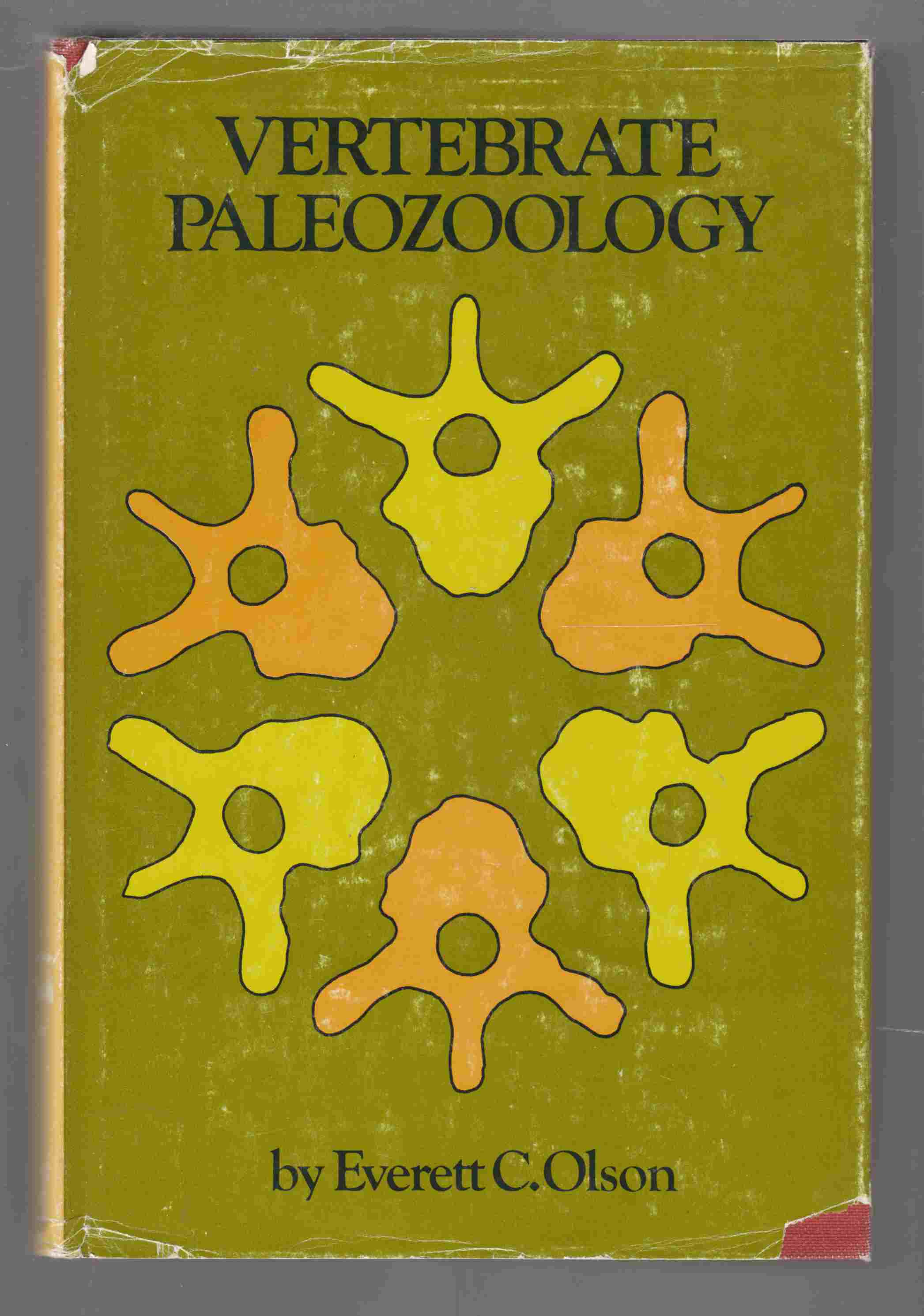 Image for Vertebrate Paleozoology