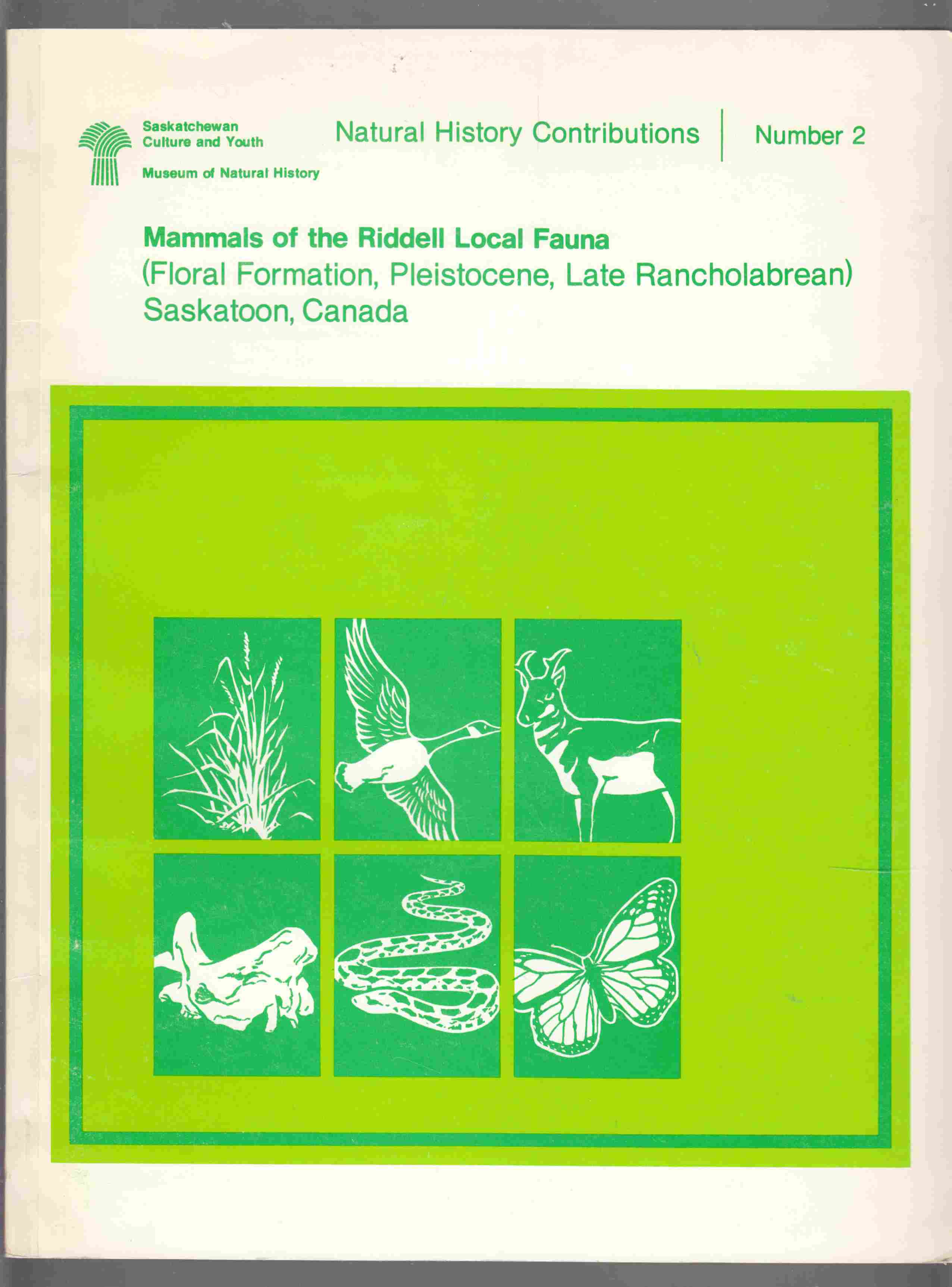 Image for Mammals of the Riddell Local Fauna (Floral Formation, Pleistocene, Late Rancholabrean) Saskatoon, Canada