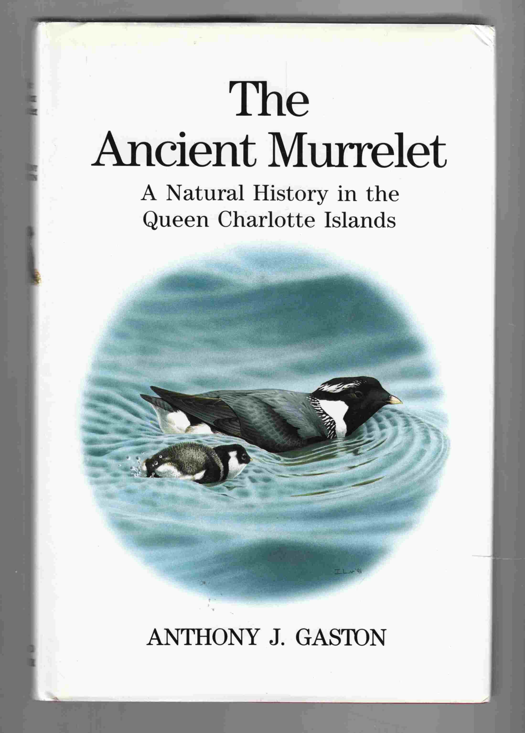 Image for The Ancient Murrelet A Natural History in the Queen Charlotte Islands