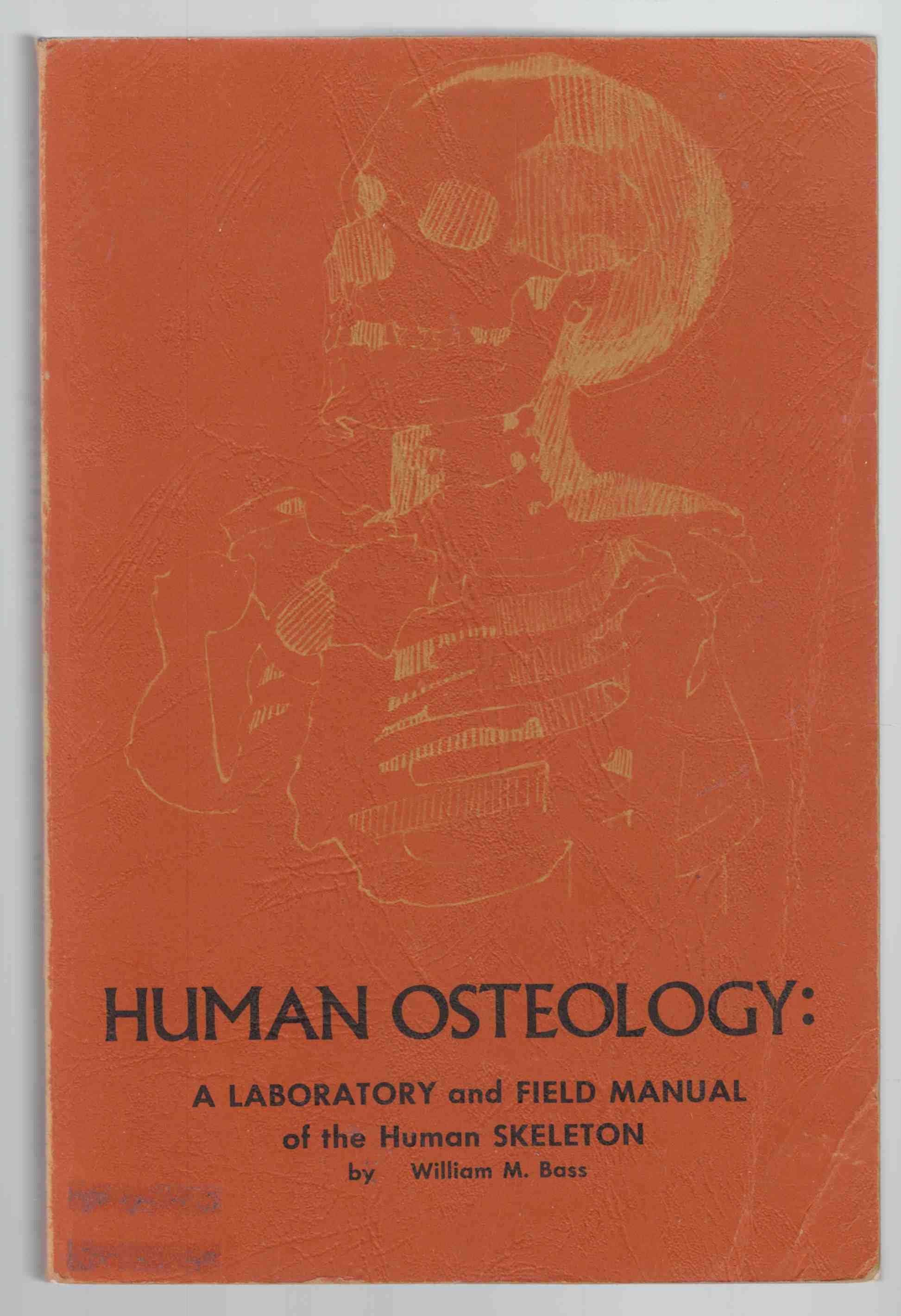 Image for Human Osteology: A Laboratory and Field Manual of the Skeleton