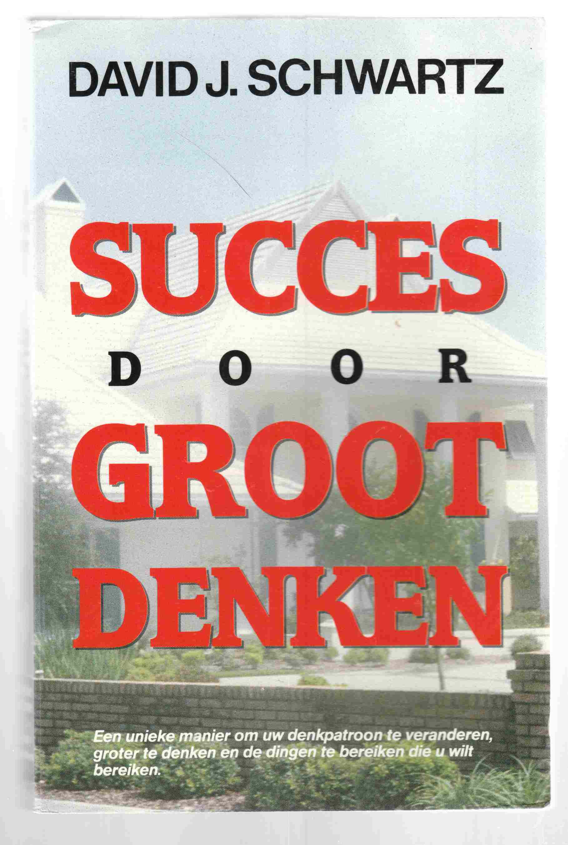 Image for Success Door Groot Denken