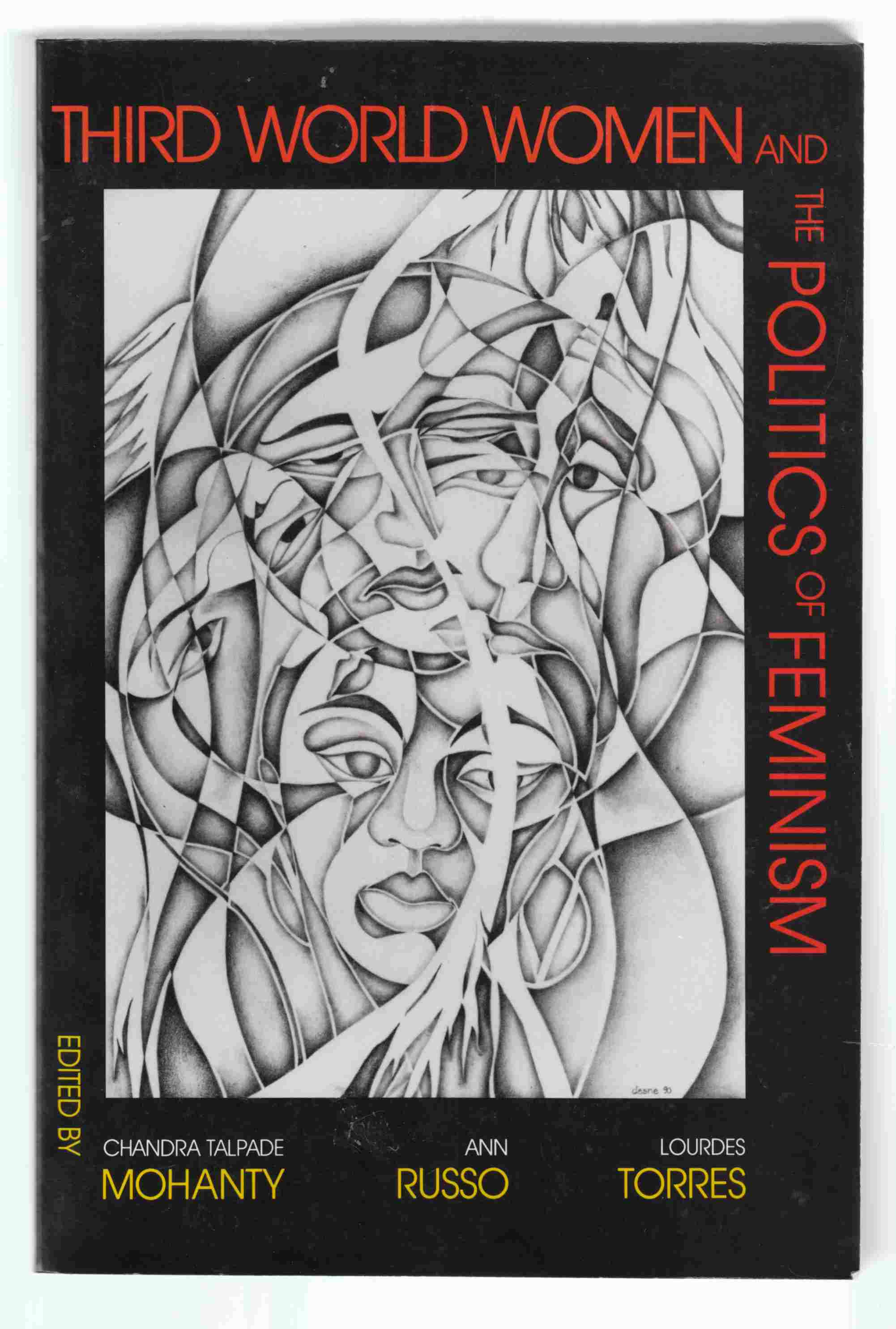 Image for Third World Women and the Politics of Feminism