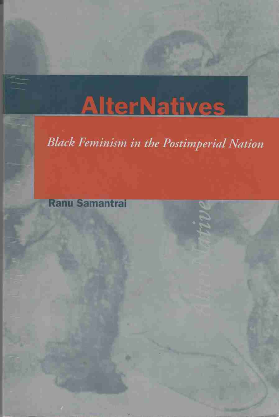 Image for AlterNatives Black Feminism in the Postimperial Nation