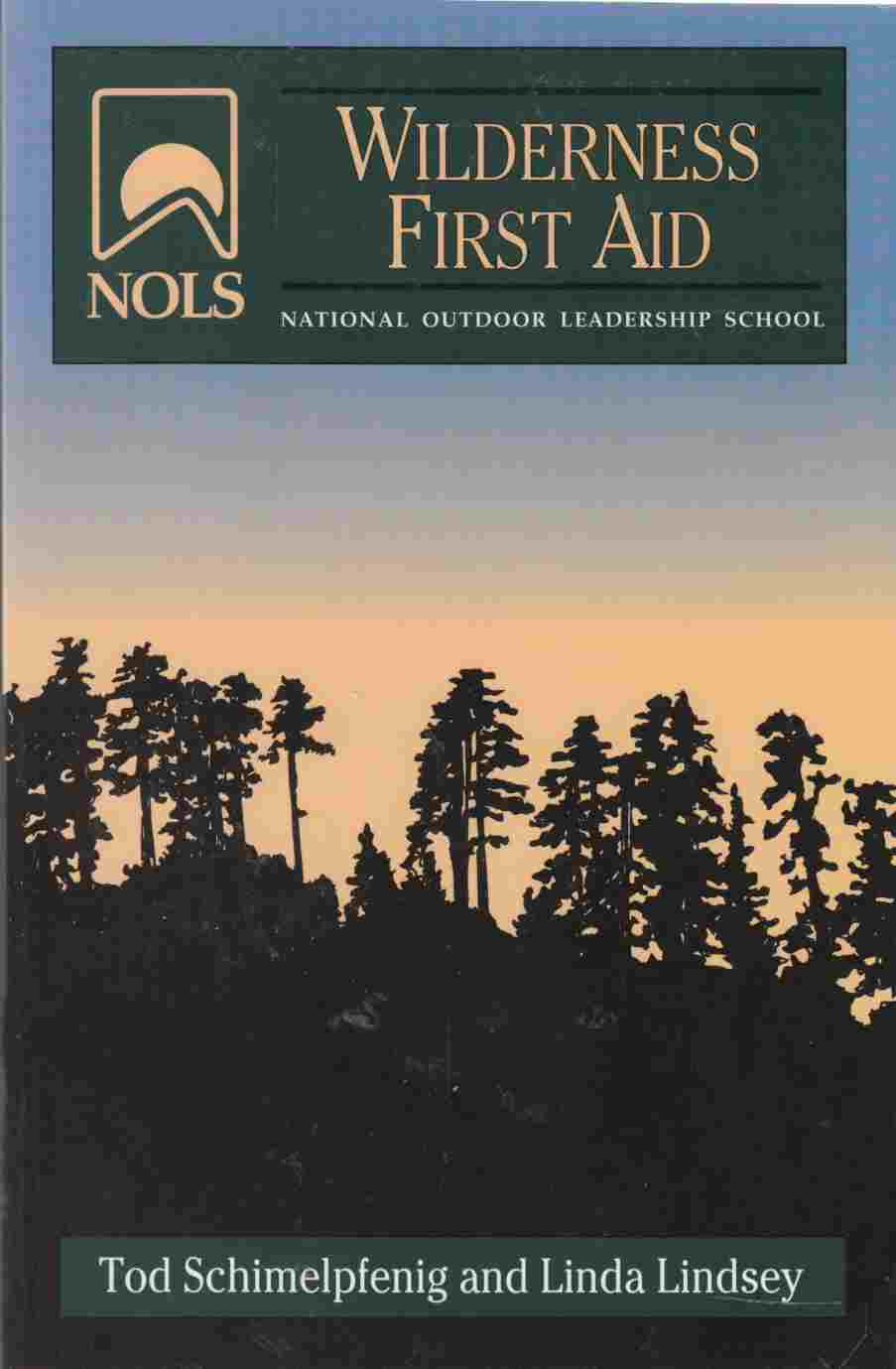 Image for Wilderness First Aid